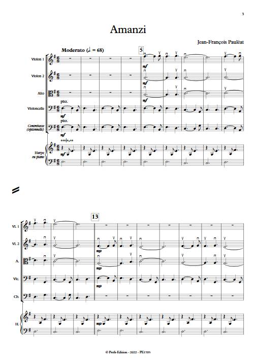 Amanzi - Orchestre à cordes - PAULEAT J. F. - app.scorescoreTitle