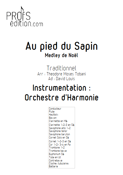 Au pied du sapin - Medley de Noël - Orchestre d'Harmonie - TRADITIONNEL - page de garde