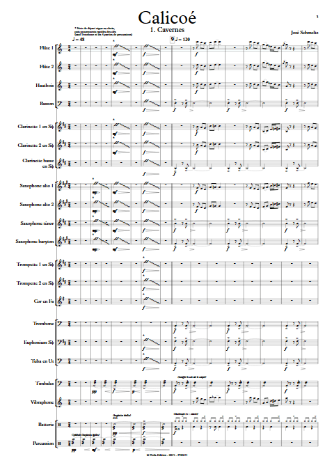 Calicoé - Orchestre d'Harmonie - SCHMELTZ J. - Partition