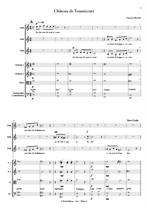 Chateau de Toussicourt - Chœur & Orchestre à Cordes - MECHALI F. - app.scorescoreTitle