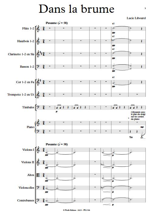 Dans la brume - Orchestre Symphonique - LIBOUREL L. - app.scorescoreTitle