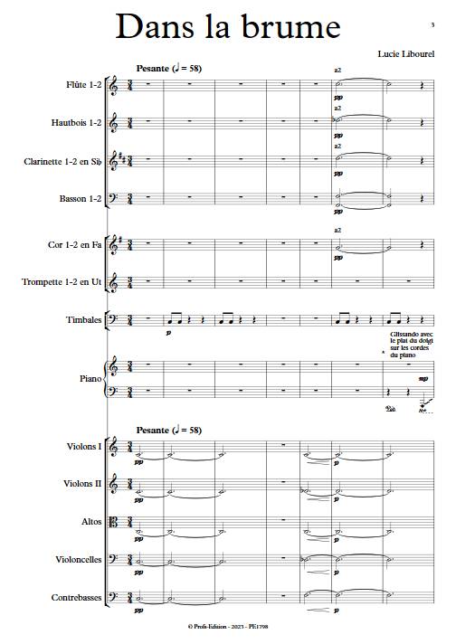 Dans la brume - Orchestre Symphonique - LIBOUREL L. - Partition