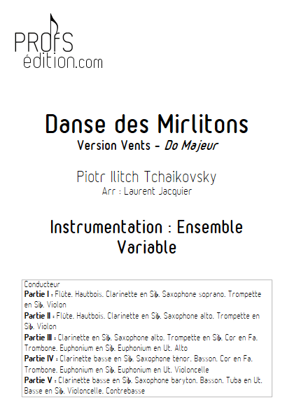 Danse des Mirlitons - Ensemble à Géométrie Variable - TCHAIKOVSKY P. I. - page de garde