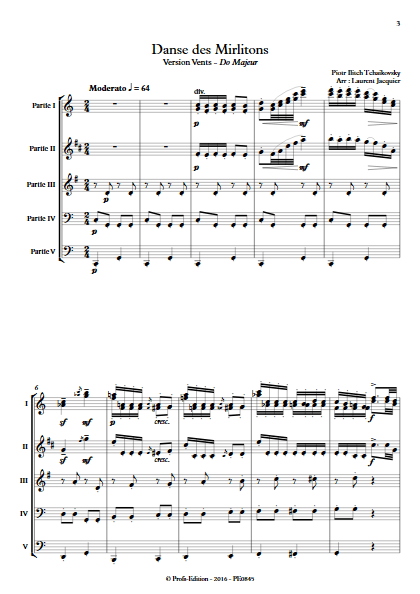 Danse des Mirlitons - Ensemble à Géométrie Variable - TCHAIKOVSKY P. I. - Partition