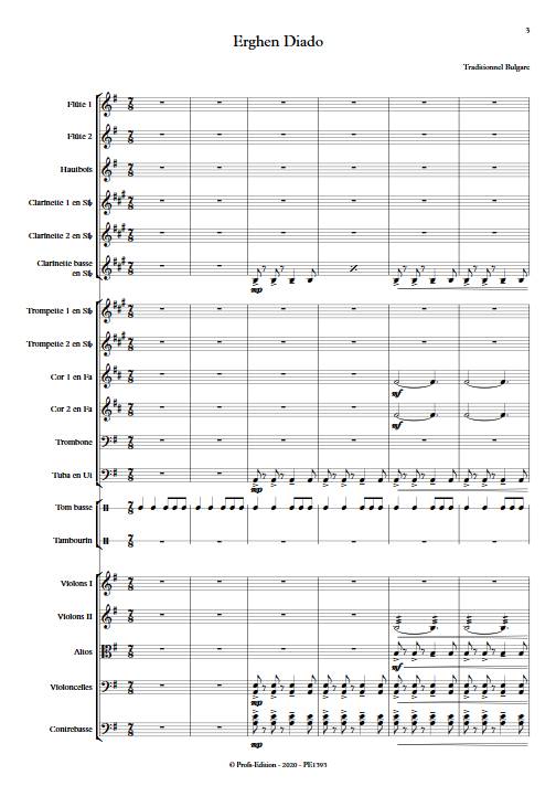 Erghen diado - Orchestre Symphonique - BONVALOT D. - app.scorescoreTitle