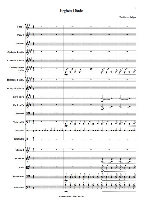 Erghen diado - Orchestre Symphonique - BONVALOT D. - Partition