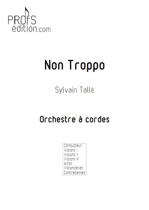 Non Troppo - Orchestre à Cordes - TALLE S. - page de garde