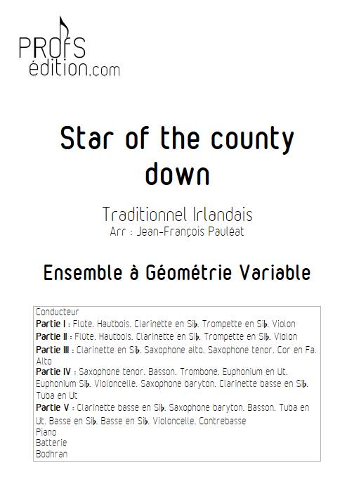 Star of the county down - Ensemble Variable - TRADITIONNEL IRLANDAIS - page de garde