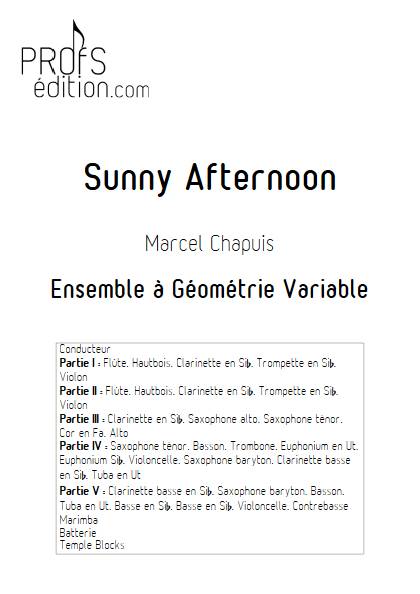 Sunny Afternoon - Ensemble Variable - CHAPUIS M. - page de garde