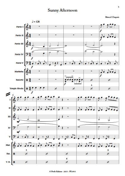 Sunny Afternoon - Ensemble Variable - CHAPUIS M. - Partition