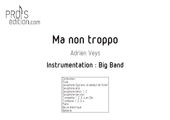 Ma non troppo - Big Band - VEYS A. - page de garde